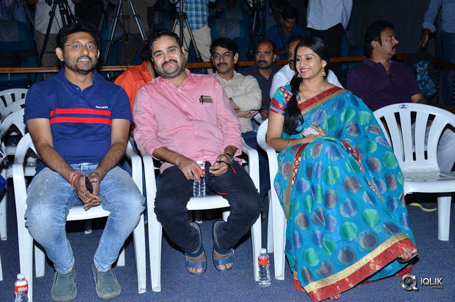 Jayammu-Nischayammu-Raa-Movie-Success-Meet